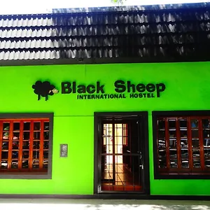  Auberge de jeunesse Black Sheep International